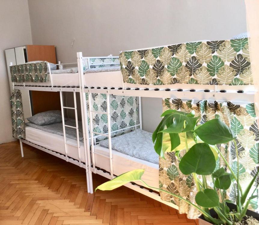 Green House Krasków Eksteriør bilde